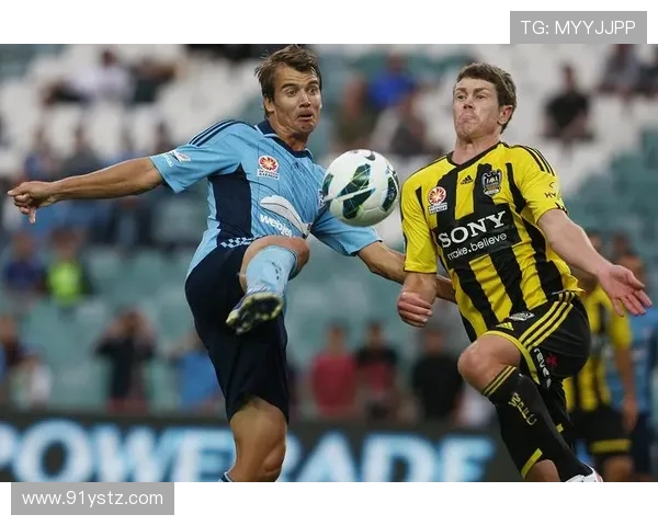 惠灵顿对阵中央海岸精彩比赛直播全程回顾与分析 惠灵顿对阵中央海岸精彩比赛直播全程回顾与分析